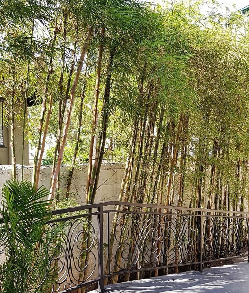 Hotel Clarion Kiribathgoda Exterior photo